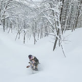 Japow