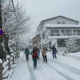 Japow