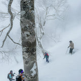 Japow