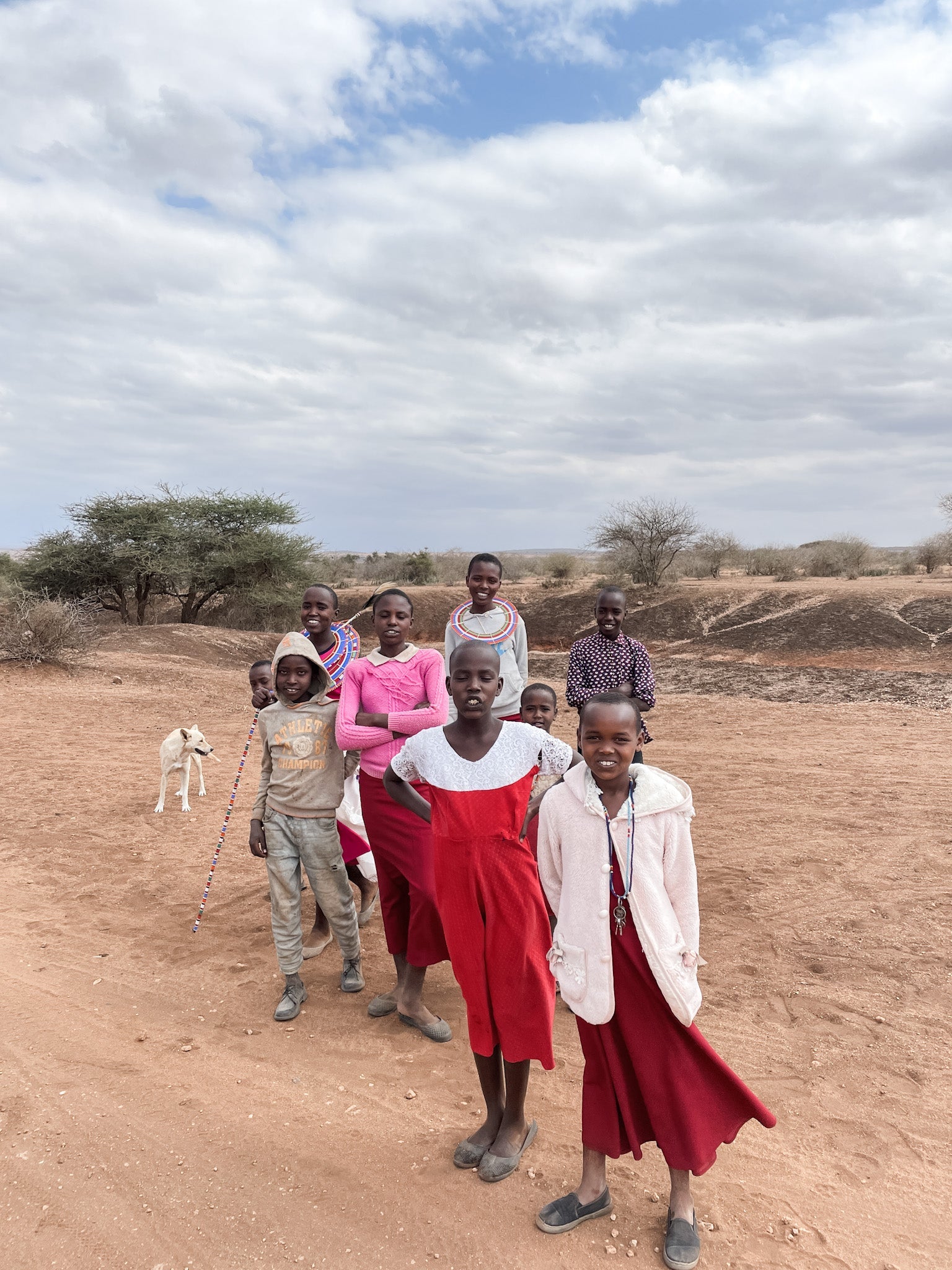 Cycling Safari