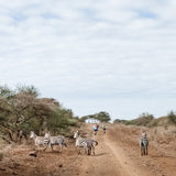 Cycling Safari
