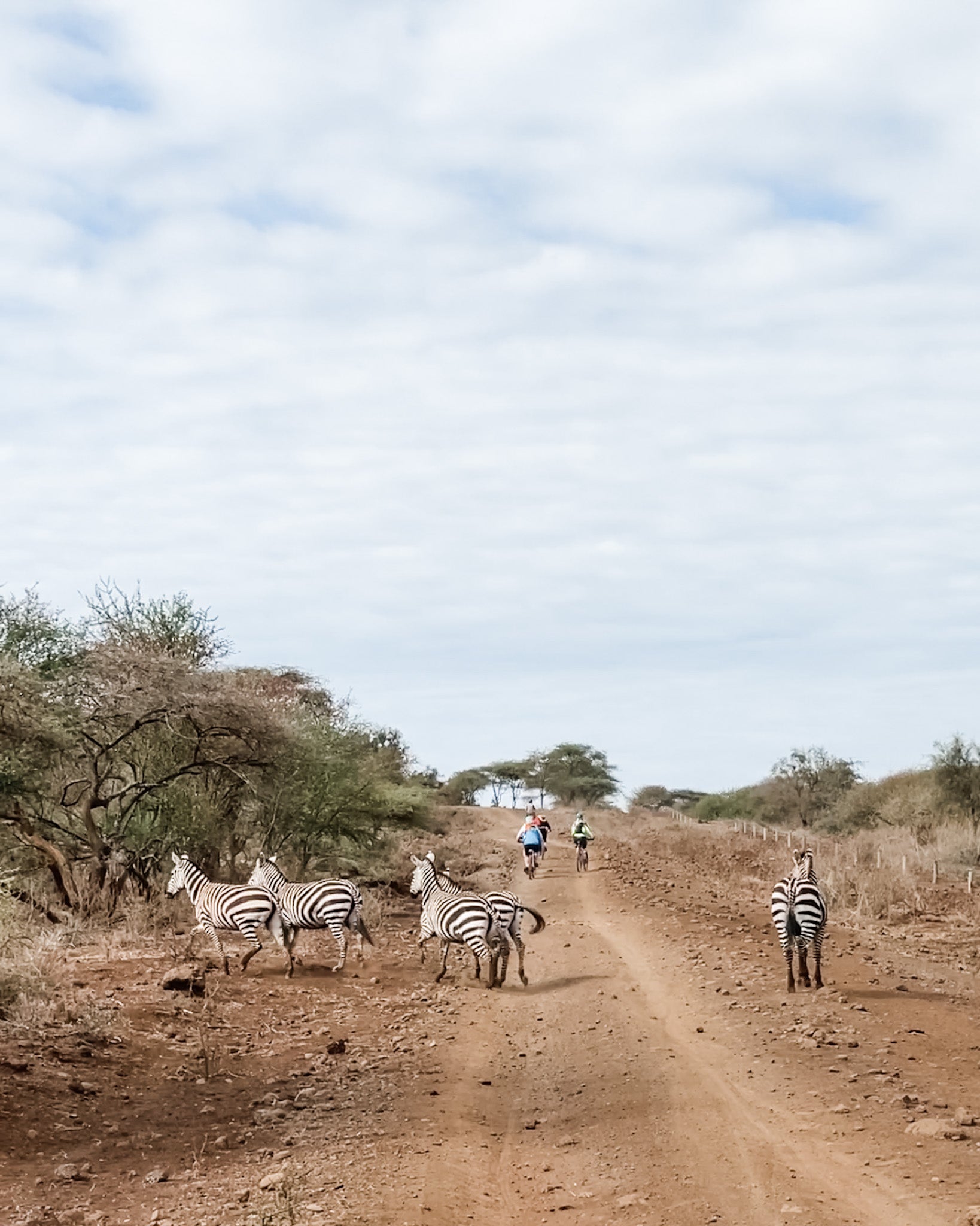 Cycling Safari
