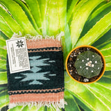Zapotec Coasters | Uno