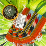 Zapotec Coasters | Quatro