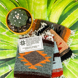 Zapotec Coasters | Seis