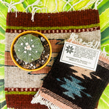 Zapotec Trivet | Uno