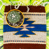 Zapotec Trivet | Dos