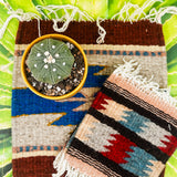 Zapotec Trivet | Dos