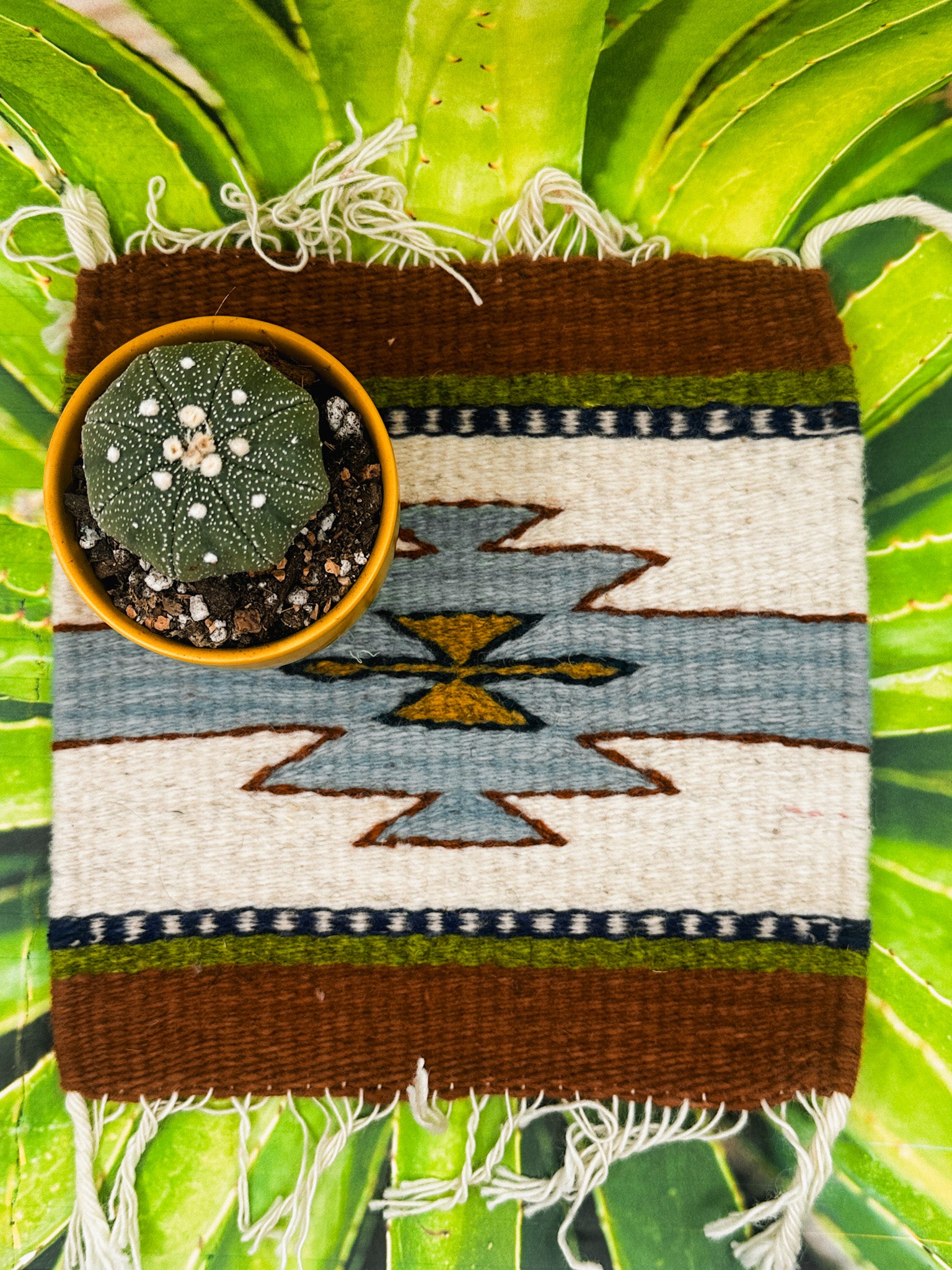 Zapotec Trivet | Tres