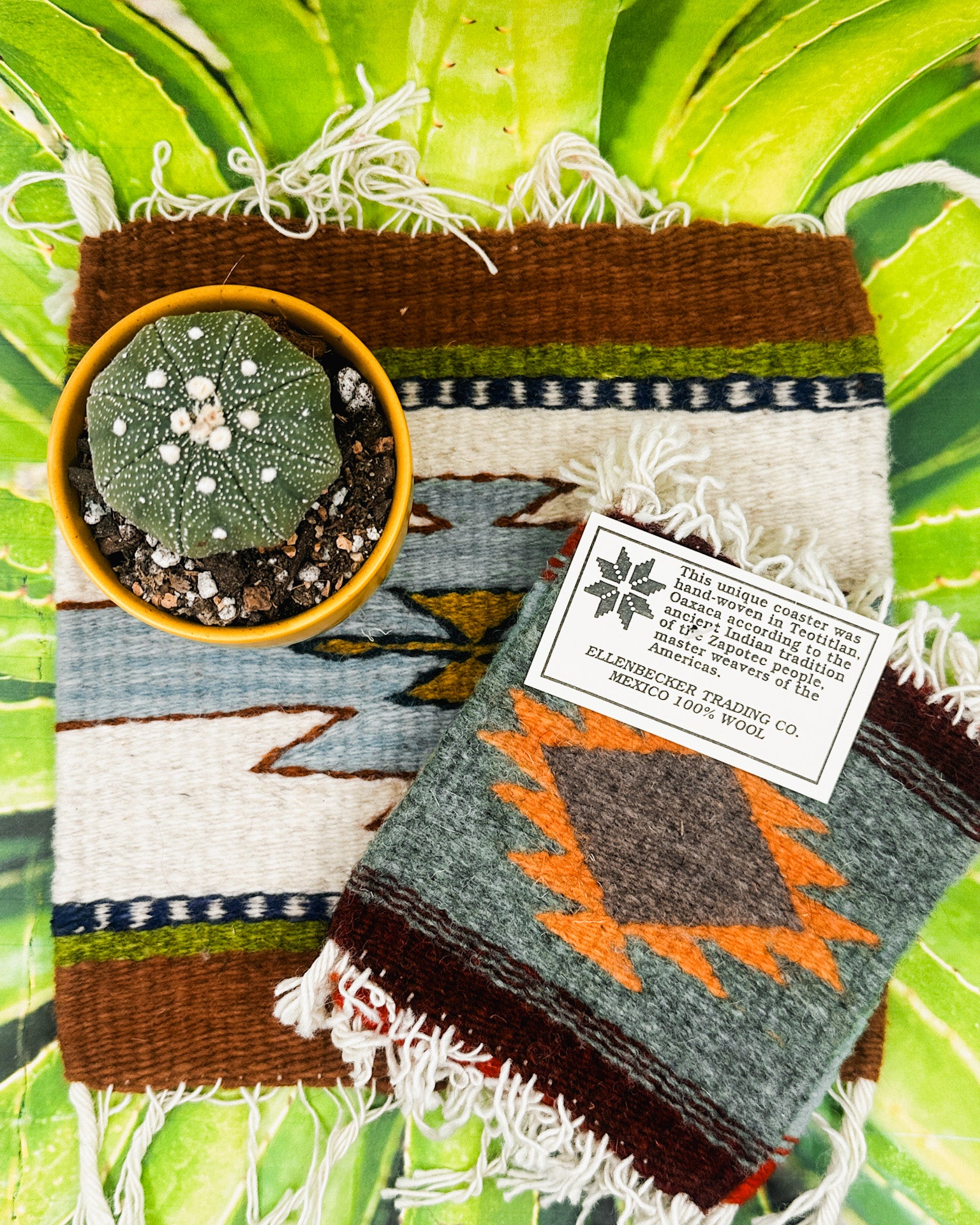 Zapotec Trivet | Tres