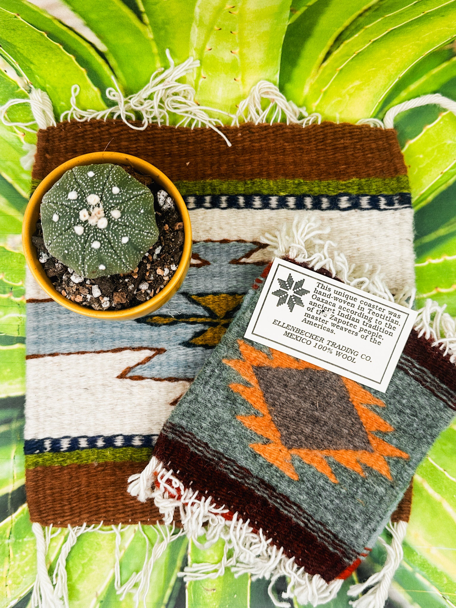 Zapotec Trivet | Tres