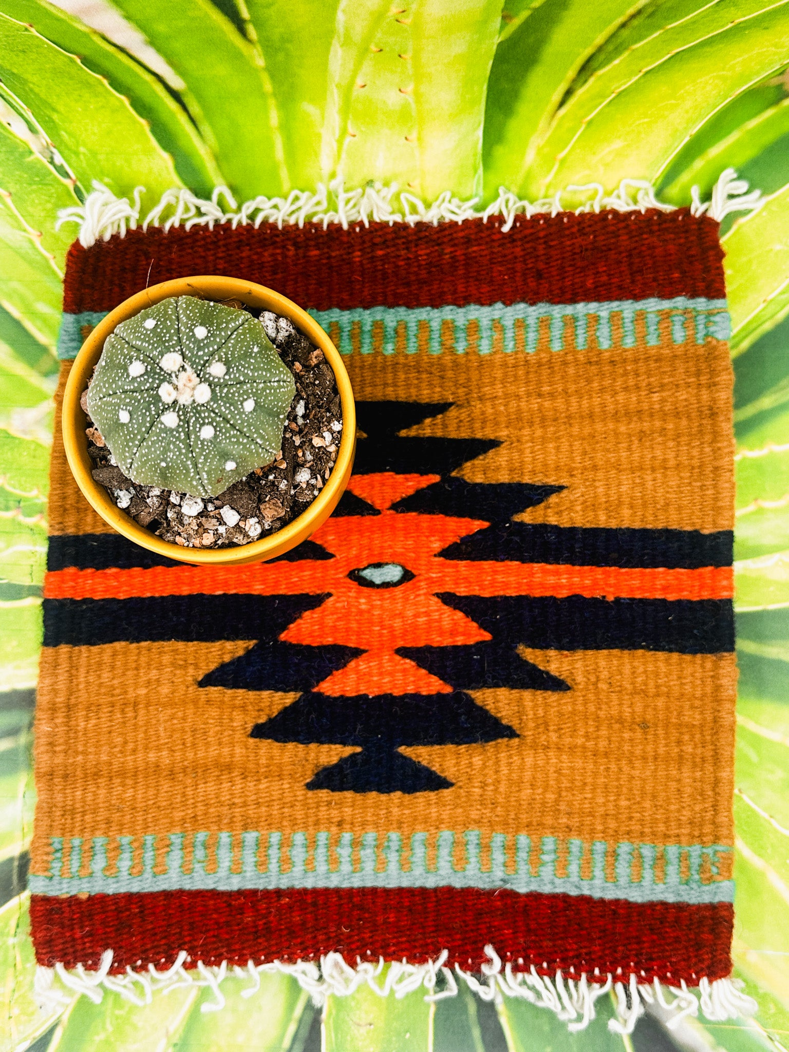 Zapotec Trivet | Quatro