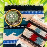 Zapotec Trivet | Seis