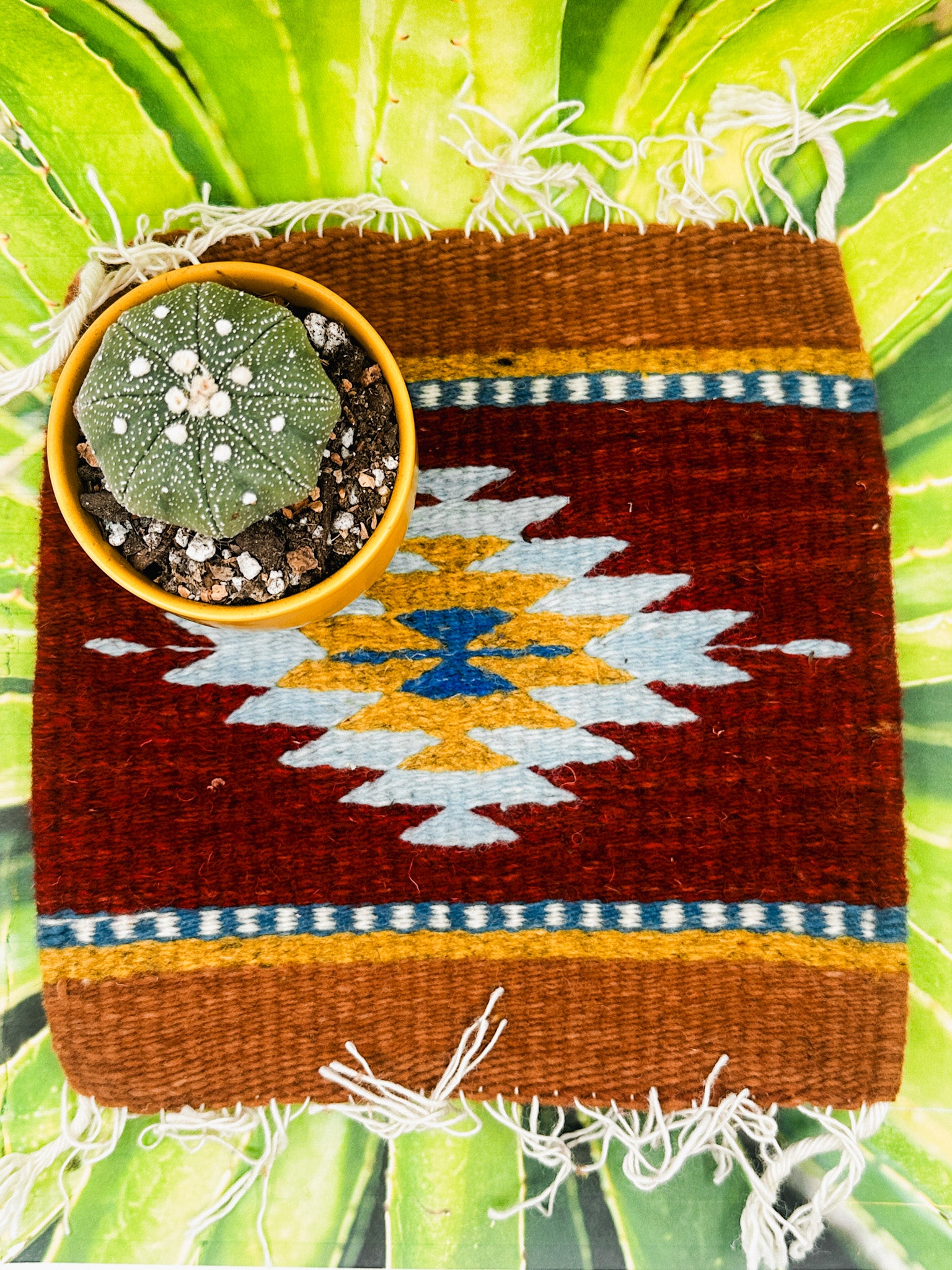 Zapotec Trivet | Ocho