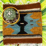 Zapotec Trivet | Diez