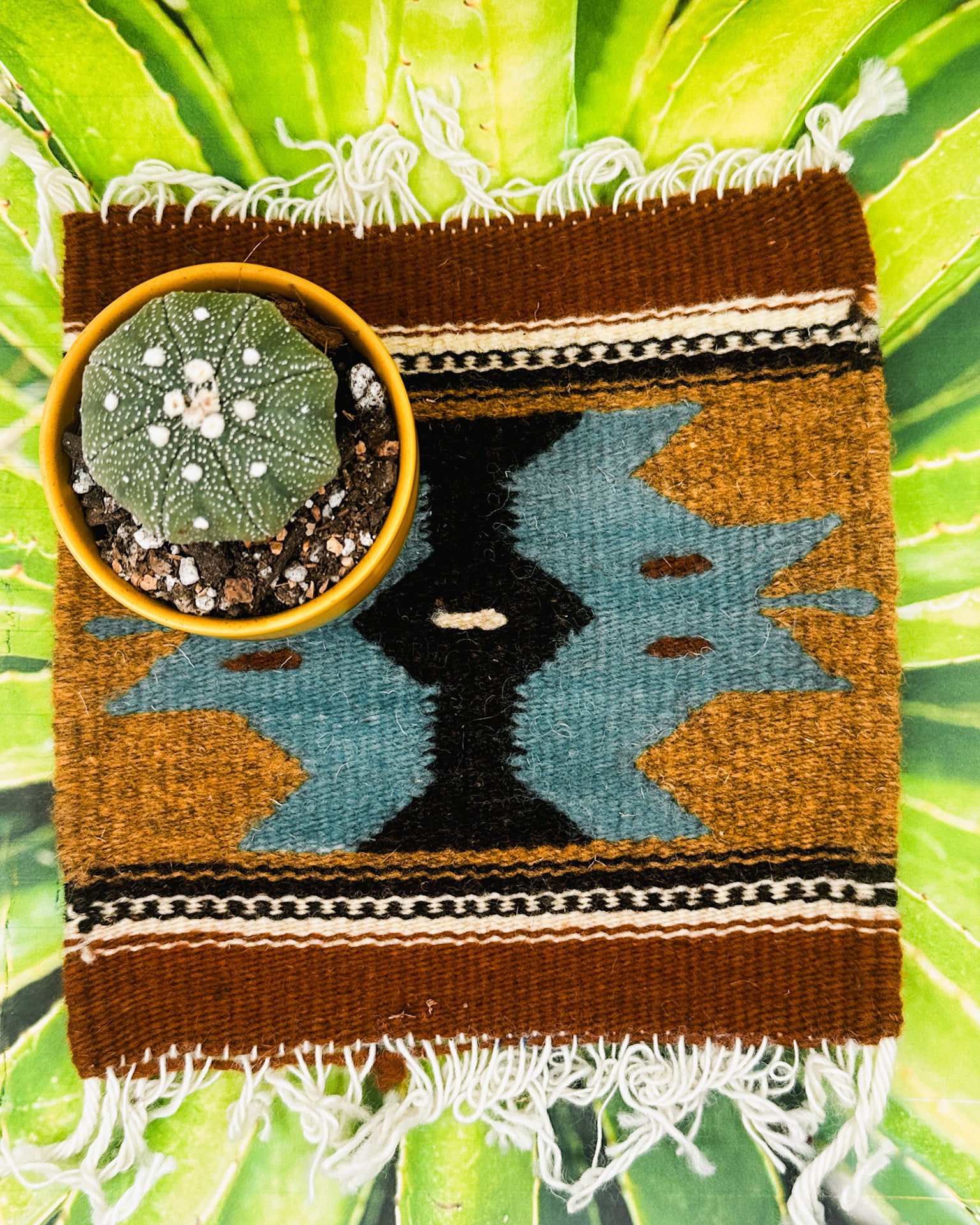 Zapotec Trivet | Diez