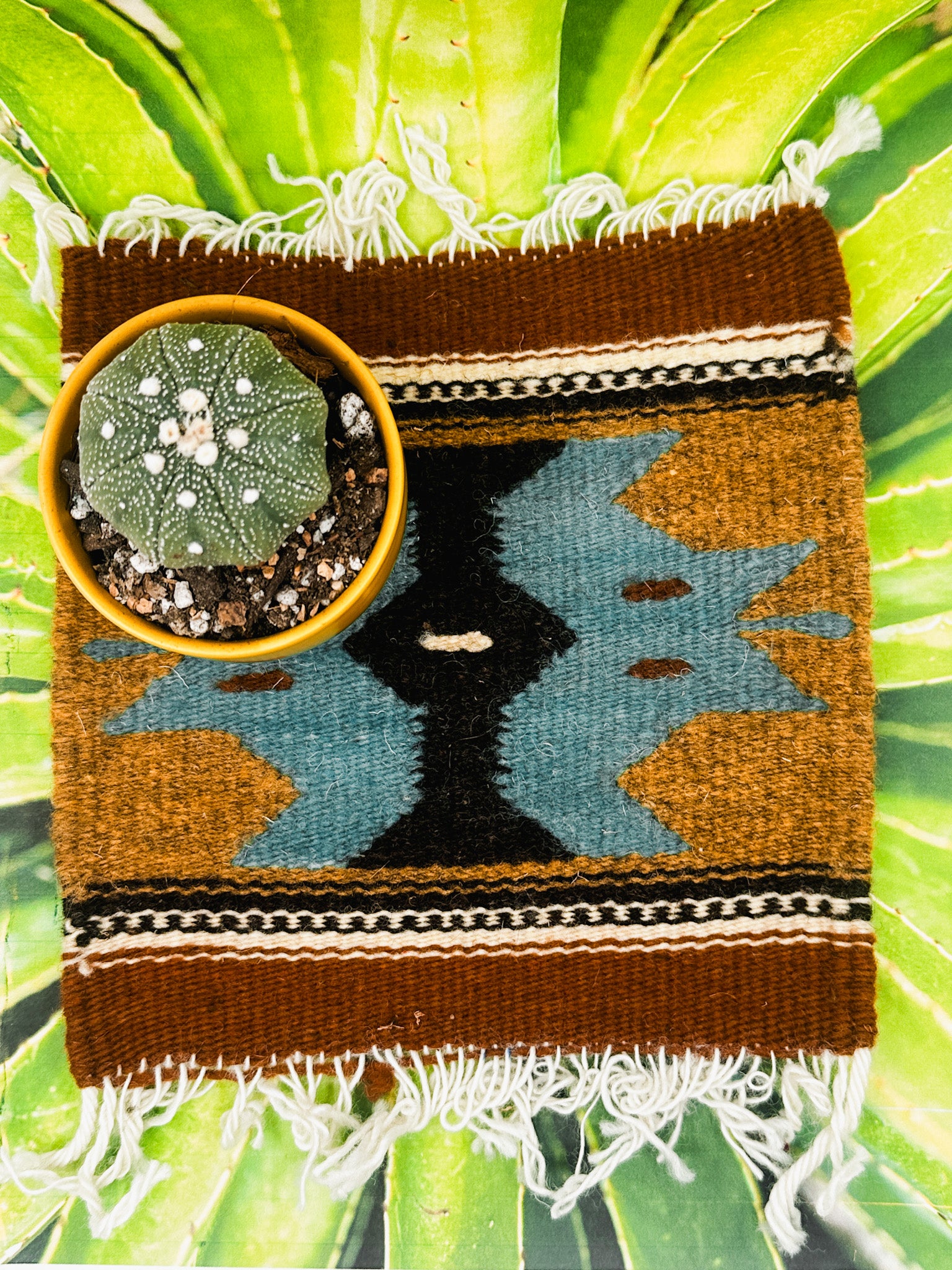 Zapotec Trivet | Diez