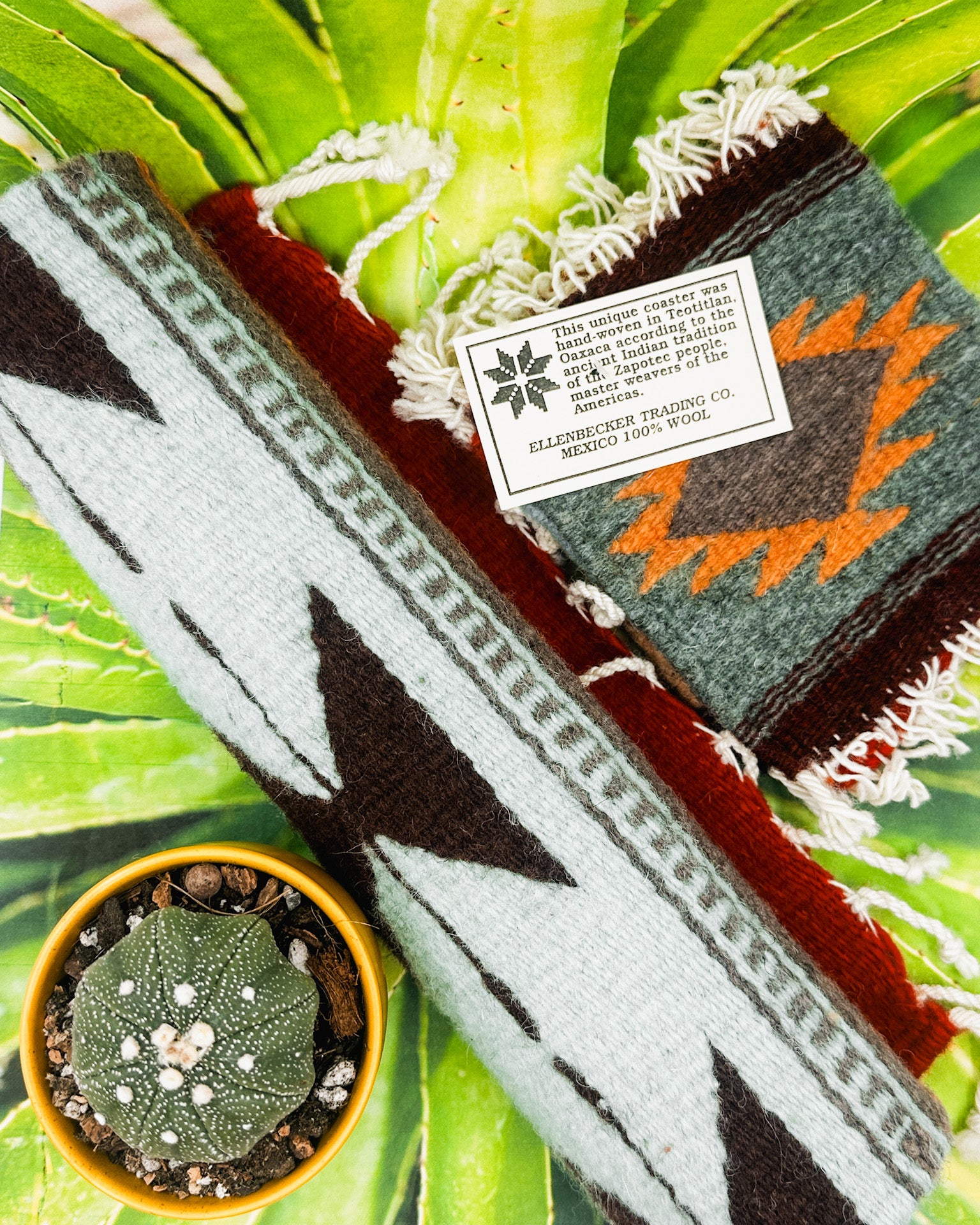 Zapotec Runners | Siete