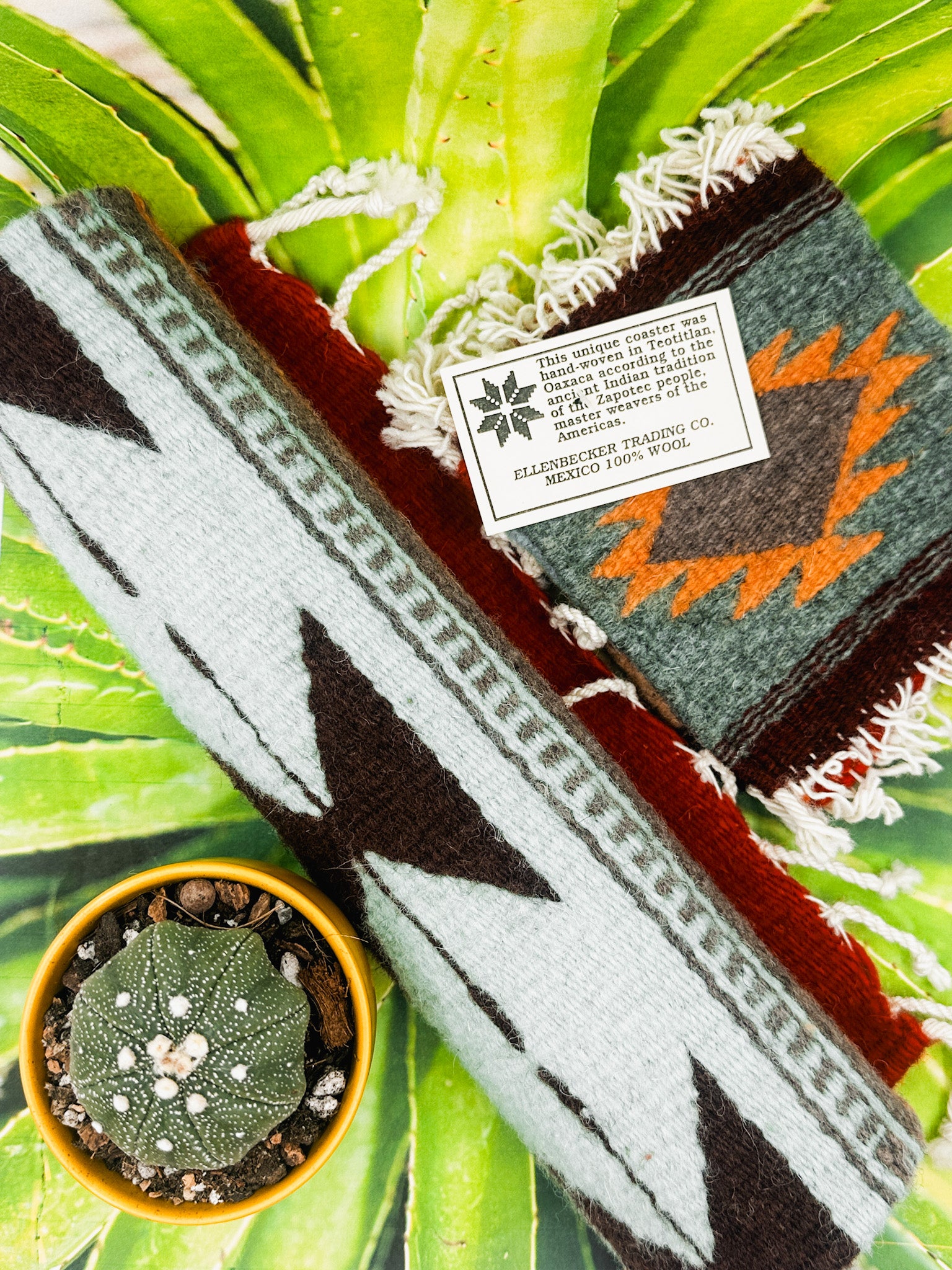 Zapotec Runners | Siete