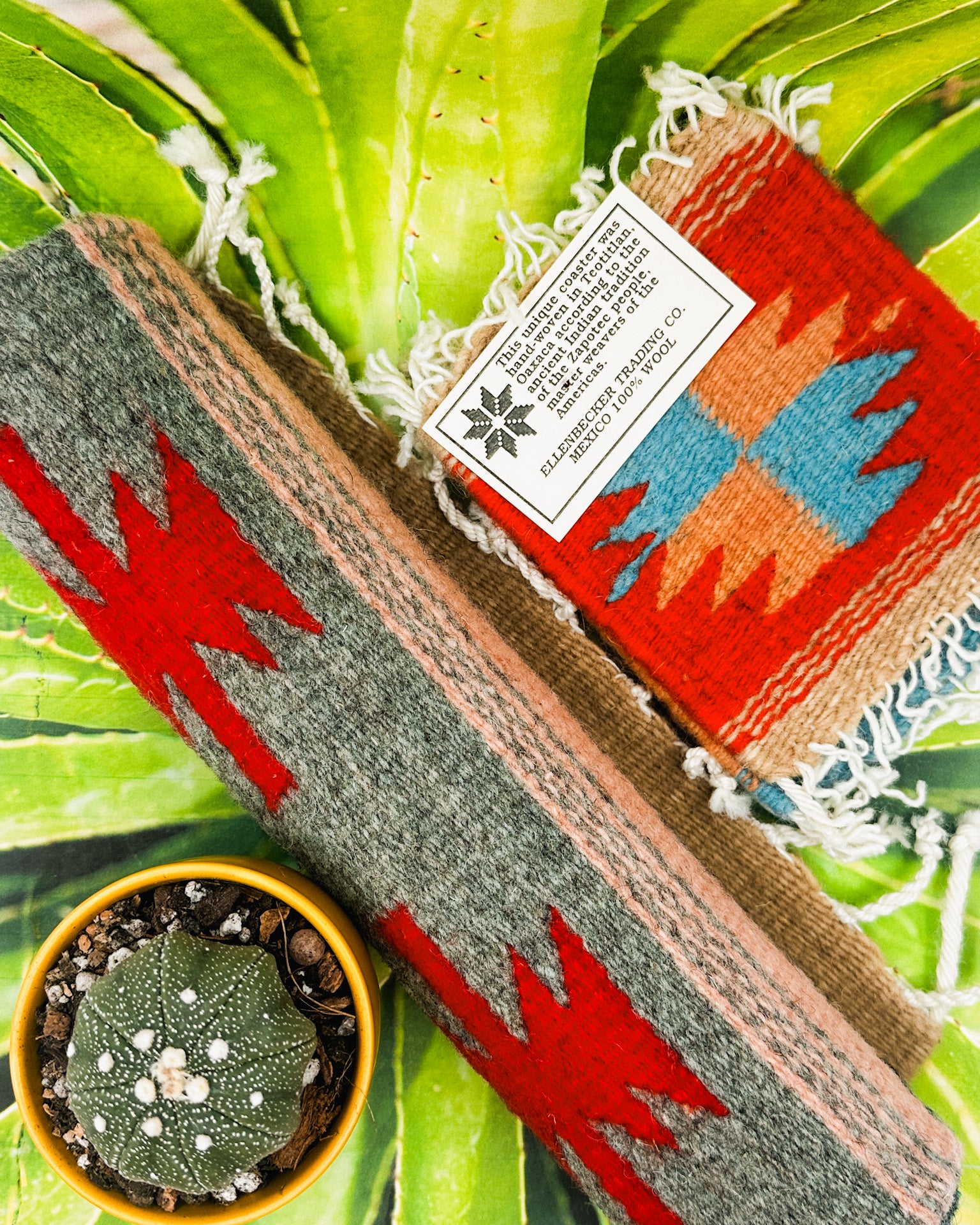 Zapotec Runners | Seis