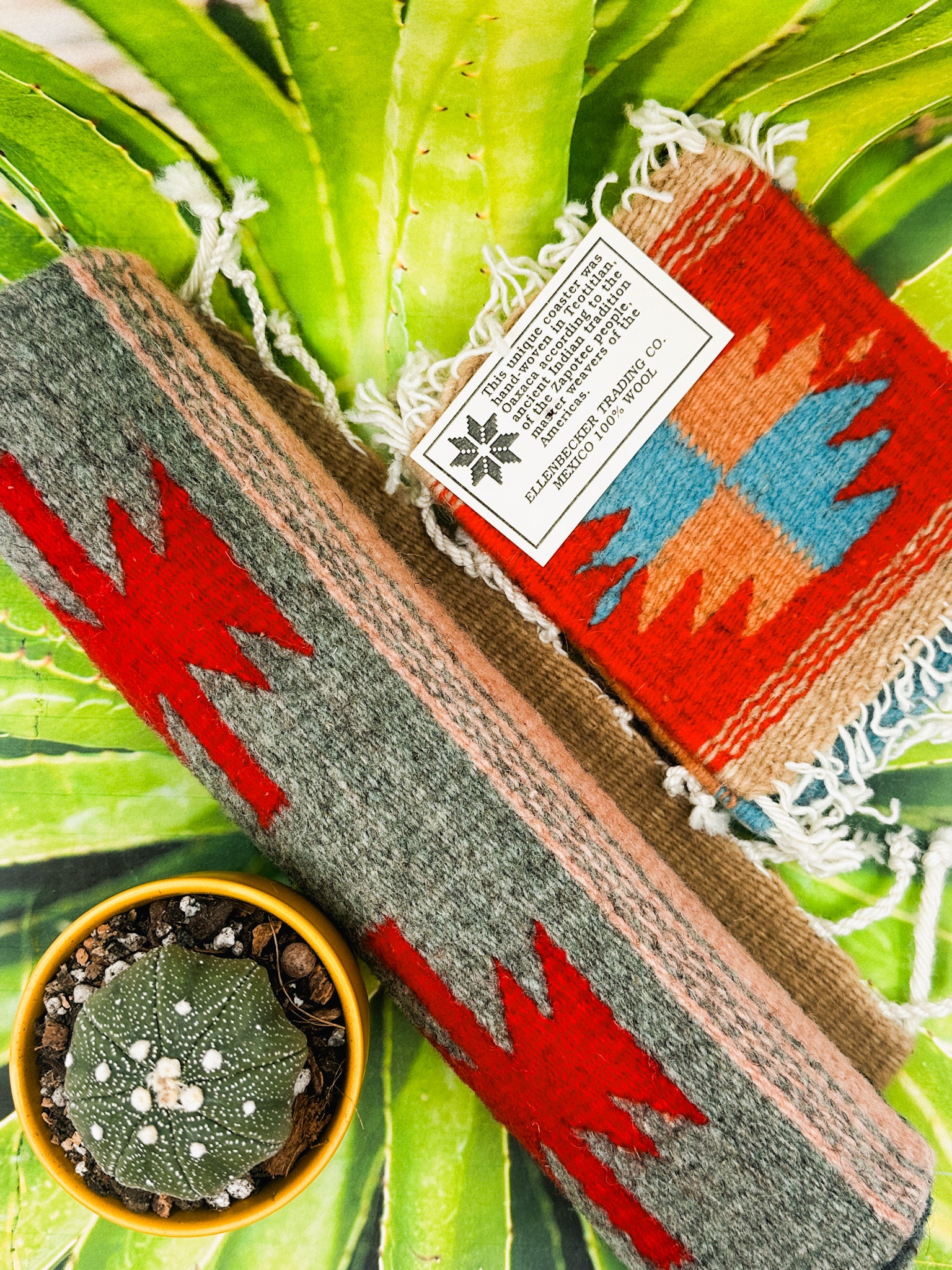 Zapotec Runners | Seis