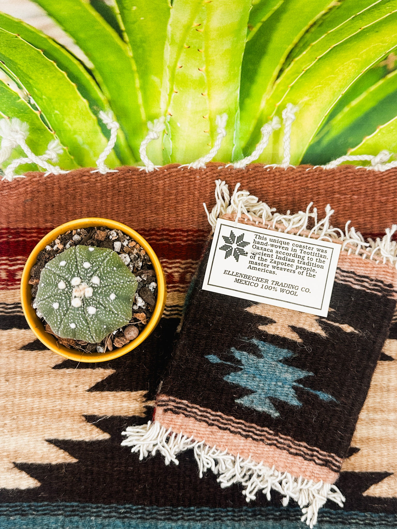 Zapotec Runners | Cinco