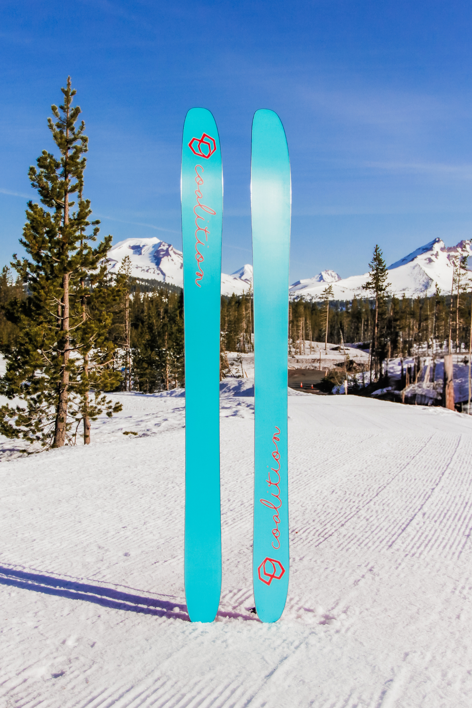 La Nieve | Rose Above It