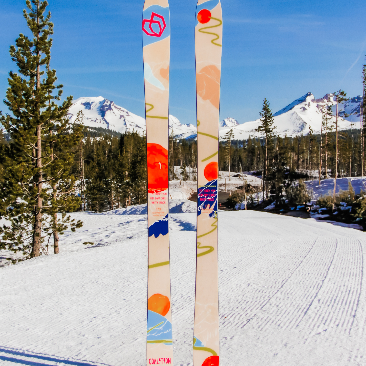 25/26 Skis