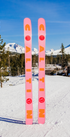 Pink and orange skis with a mountainous landscape in the background