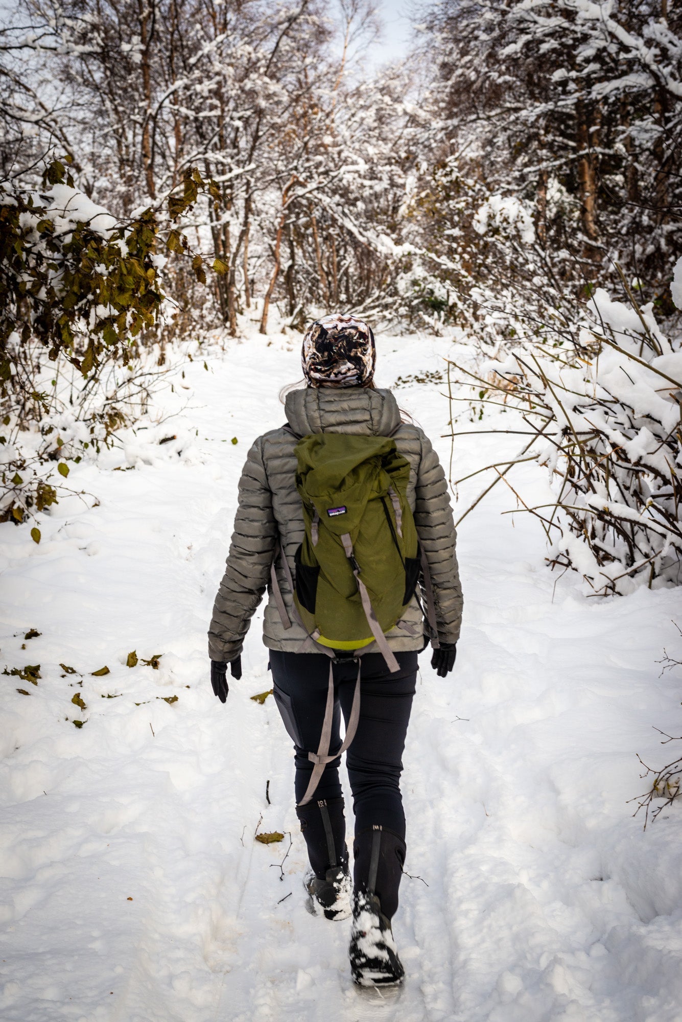 Alpine Fit | Bushwhacking Leggings