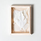 HA KO Paper Incense | Wooden Box Set of 5 With Incense Mat