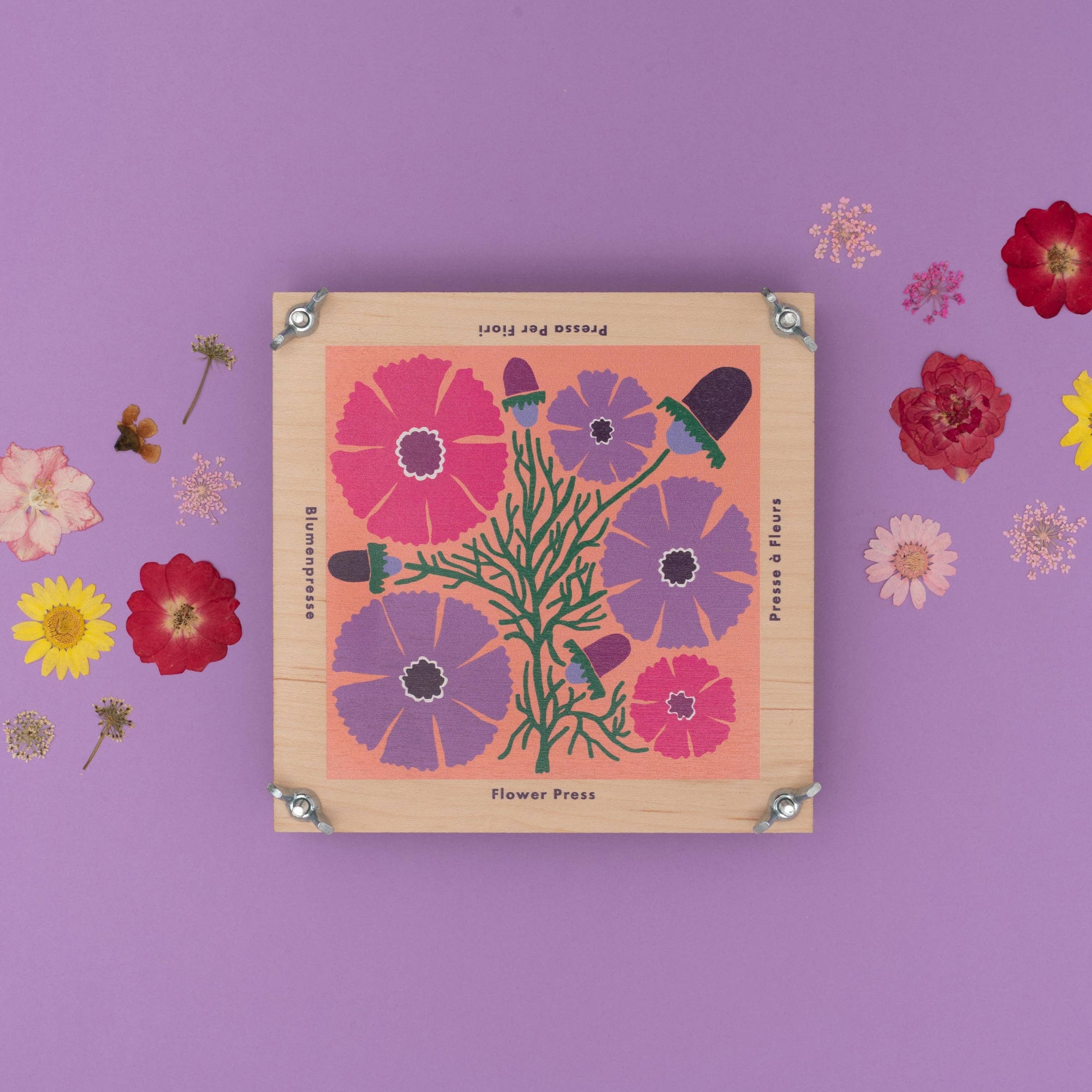 Studio Wald Flower Press | Cosmos