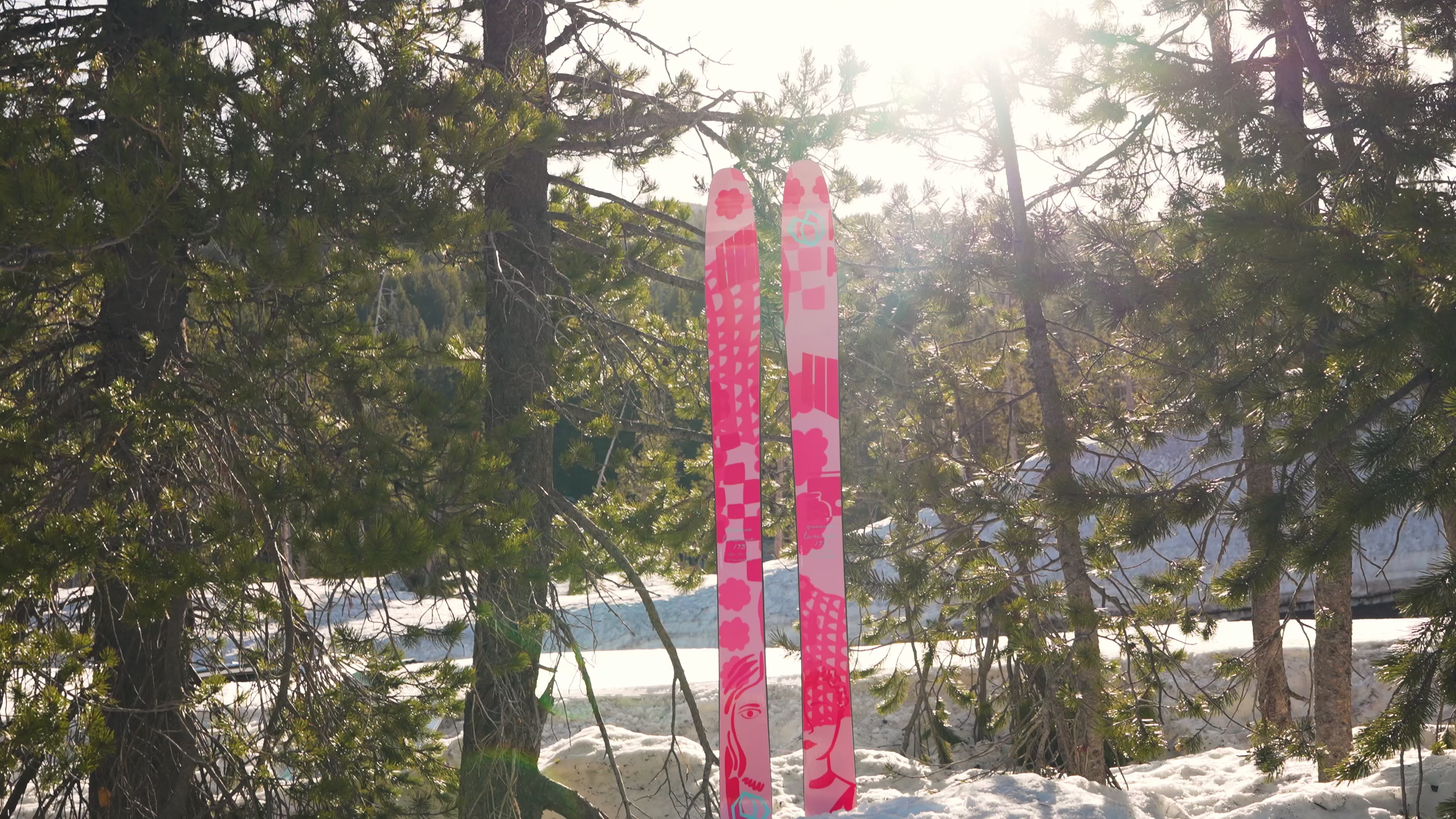 Coalition Snow | La Nieve Backcountry Skis