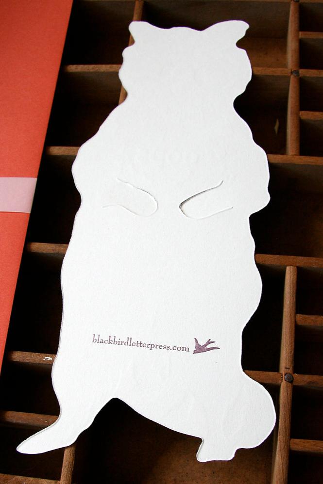 Blackbird Letterpress | Oops Raccoon Gift Card