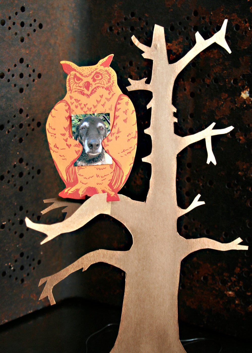 Blackbird Letterpress | Woot Owl Gift Card